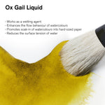 Winsor & Newton Ox Gall Liquid (75ml) (For Watercolour)